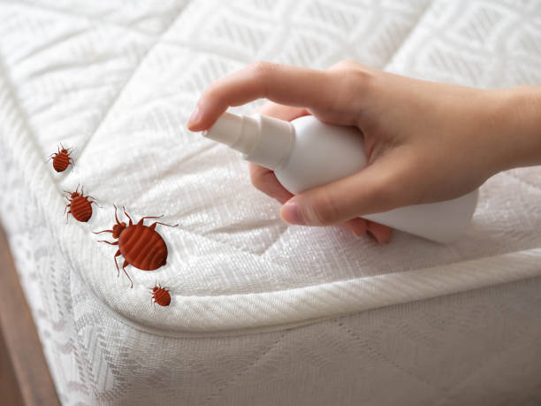 Best Local Pest Control Services  in Whitewater, WI